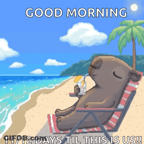 Cappies The Cappies GIF