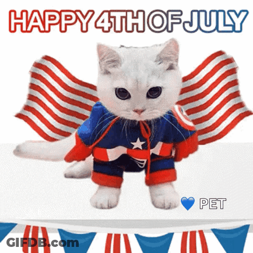 Captain America Cat Happy 4Th Of July Pet GIF