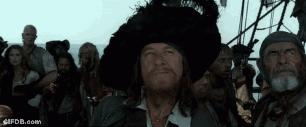 Captain Hector Barbossa Agreed GIF
