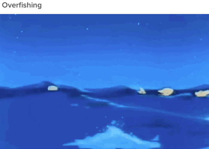 Captain Planet Sea Lion GIF