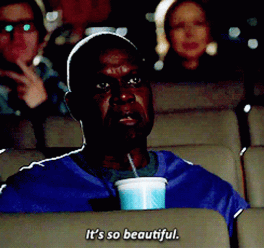 Captain Ray Holt It's Beautiful GIF