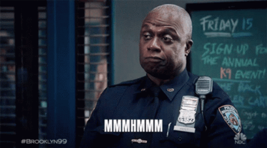 Captain Ray Holt Mhm GIF