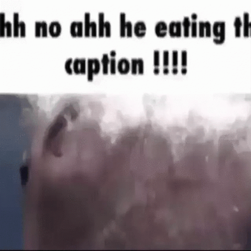 Caption Fish Eating Meme GIF