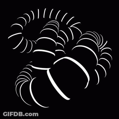 Captivating Octopus Spiral Lines Optical Illusions GIF