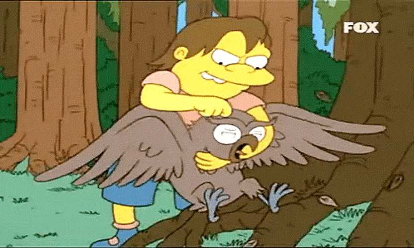 Capturing An Owl GIF