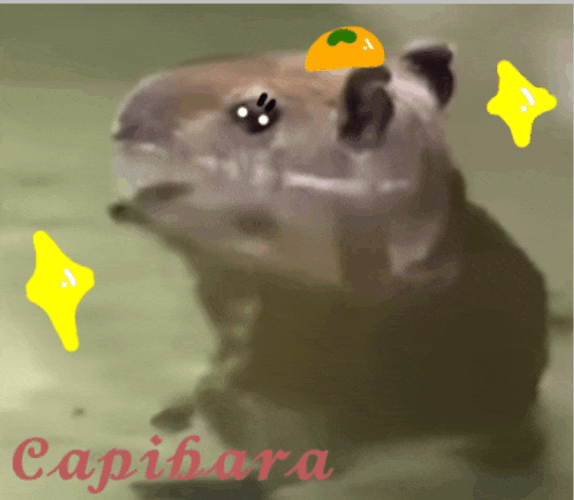 Capybara Meme GIF