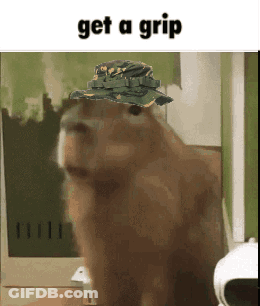 Capybara Wearing Hat Saying Get A Grip GIF