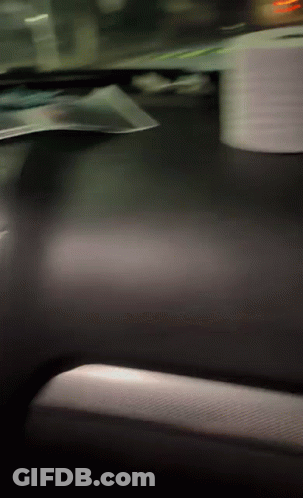 Car Dashboard With Toilet Paper Roll GIF