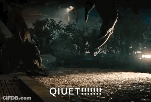 Car Driving At Night With Dinosaur Saying Quiet GIF
