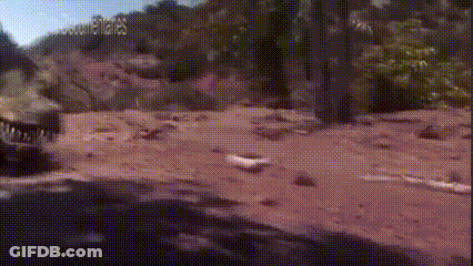 Car Driving Dirt Road Next To Forest GIF