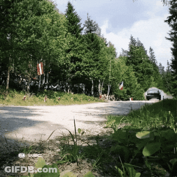 Car Driving Down Dirt Road In Woods With Iveco GIF