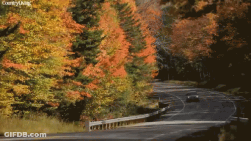 Car Driving Down Hampshire's Amagus Highway GIF