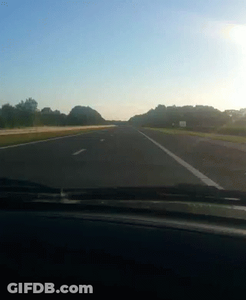 Car Driving Down Highway With Trees GIF