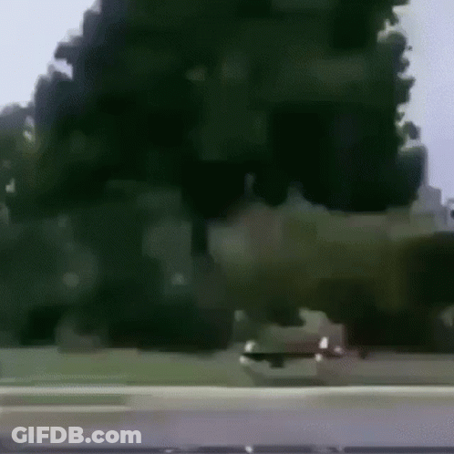 Car Driving Down Road In Front Of Tree GIF