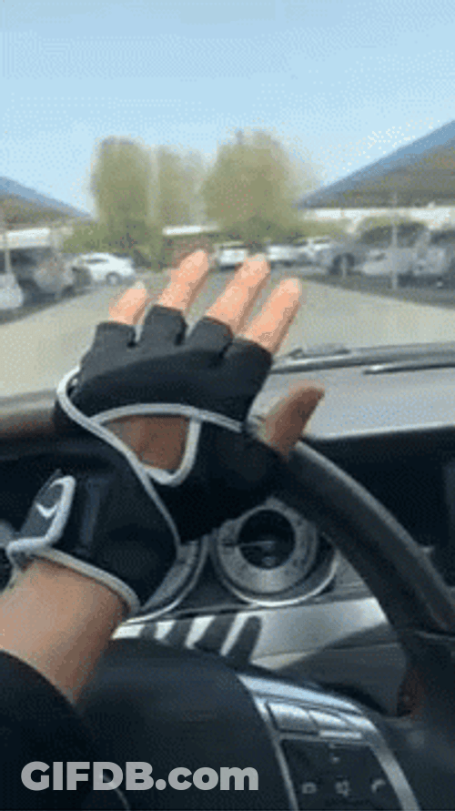 Car Driving In Hand Riding Gloves GIF