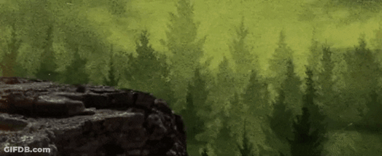 Car Driving Off Cliff Shame GIF