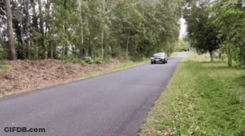 Car Driving On Road With Trees GIF