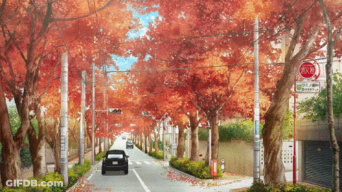 Car Driving On Tree-Lined Street With Stop Sign GIF