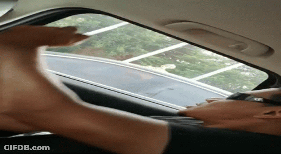Car Driving With No Steering Wheel GIF