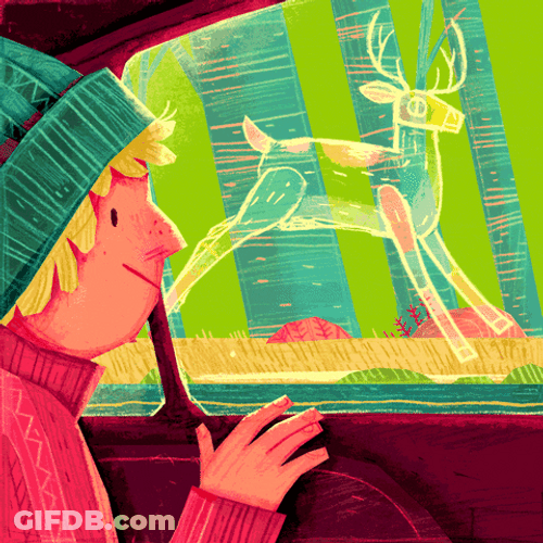 Car Kid Looking On A Deer No Crash GIF