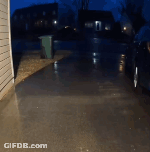 Car Parked In Driveway With Green Trash Can GIF