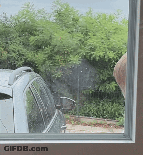Car Parked In Front Of Fence And Trees GIF