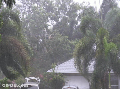 Car Parked In Front Of House With Paradise Sign GIF