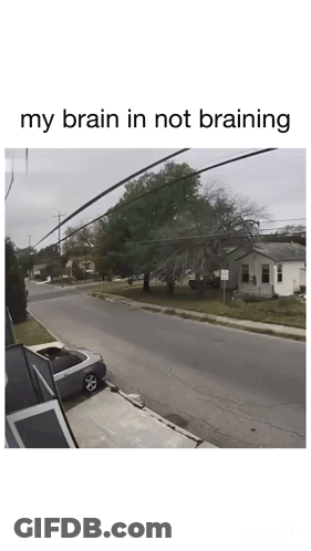 Car Parked With My Brain Not Braining GIF