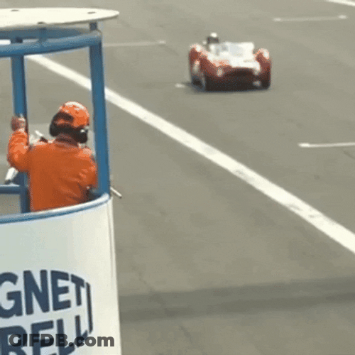Car Racing Finish Line Flag Down GIF