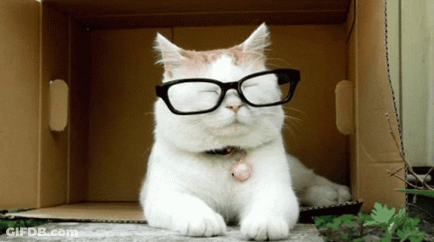 Car Wearing Glasses GIF