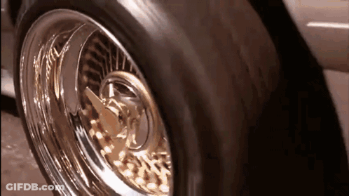 Car Wheel With Leopard Print GIF
