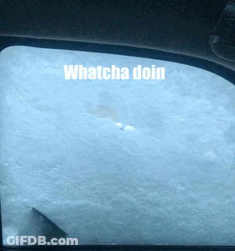 Car Window Saying Whatcha Doin GIF