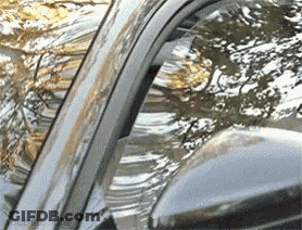 Car Windshield With Tree Reflection GIF