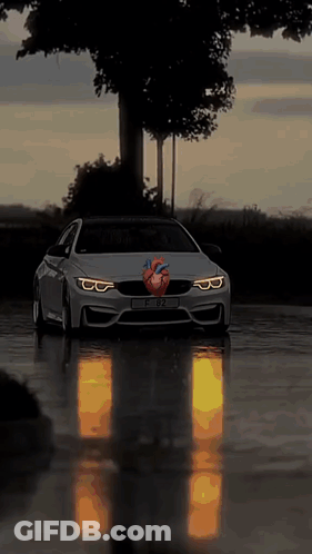 Car With Heart On Front Driving On Wet Road GIF