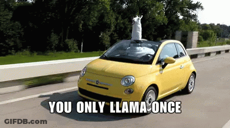 Car With License Plate E31 BCP GIF