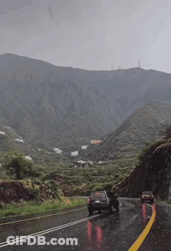 Car With License Plate Saying A Driving On Wet Road GIF