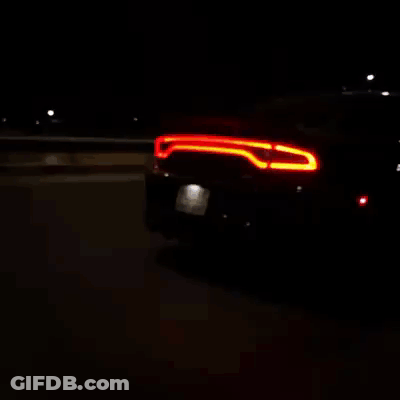 Car With License Plate Saying NC GIF