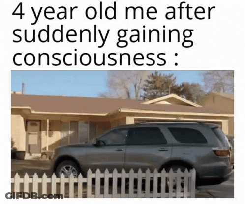 Car With Text 4 Year Old Me After Suddenly Gaining Consciousness GIF