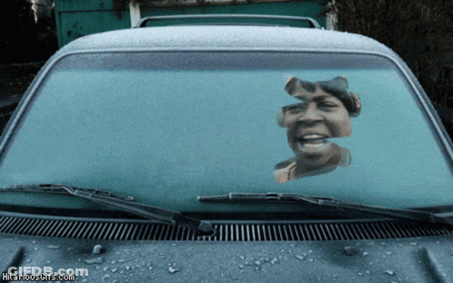 Car With Woman On Windshield Says Hilariousgifs GIF