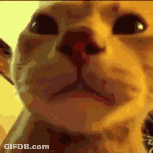Caramelldansen GIF