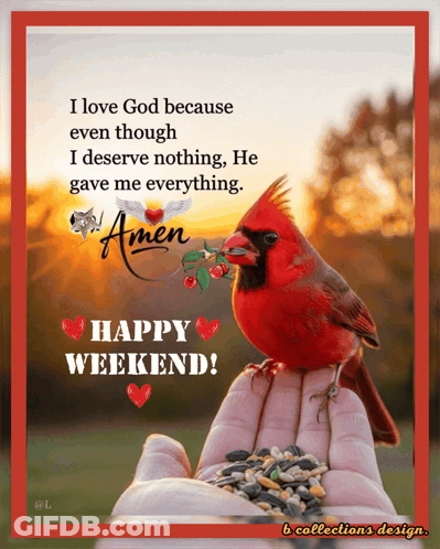 Card Saying Happy Weekend With Red Bird GIF
