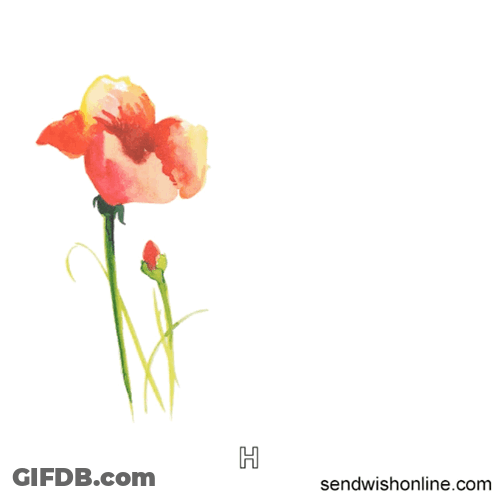 Card Saying Have A Wonderful Anniversary With Flower GIF