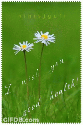 Card Saying I Wish You Good Health GIF