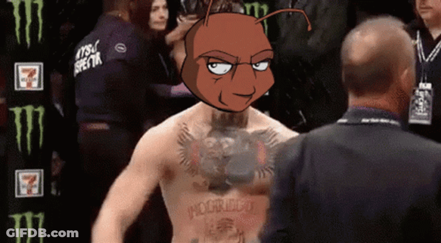 Cardano Bug Conor Mcgregor Walk GIF