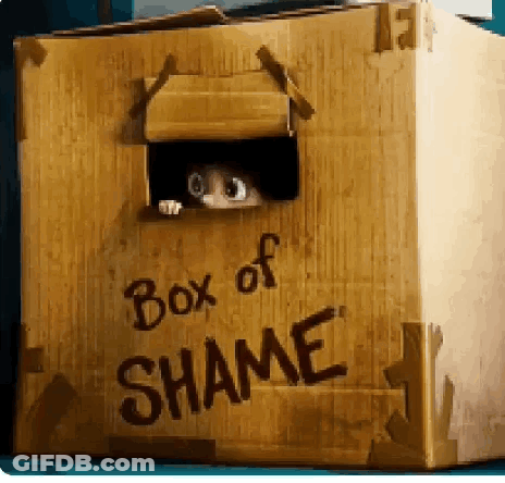 Cardboard Box Of Shame With Cat GIF