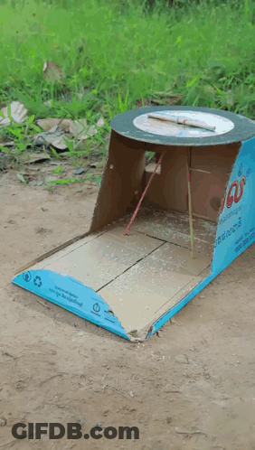 Cardboard Box Saying Ao GIF