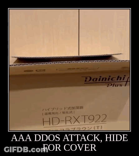 Cardboard Box Saying Dainich Plus HD-RXT922 GIF
