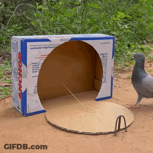 Cardboard Box With Anchor GIF