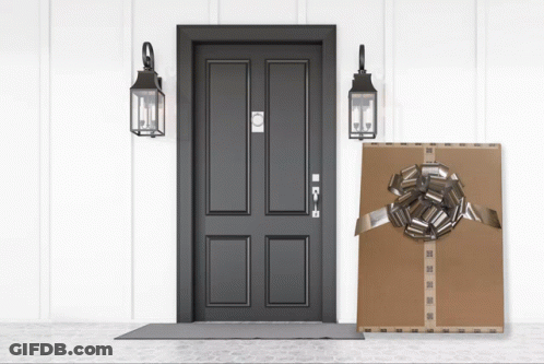 Cardboard Box With Bow In Front Of Door GIF