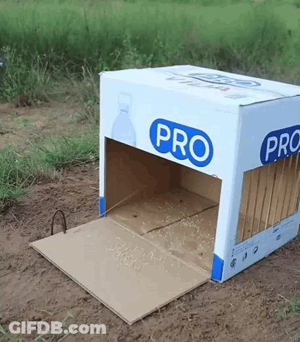 Cardboard Box With Pro Written On Side GIF